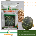 F1 hybrid pumpkin seeds