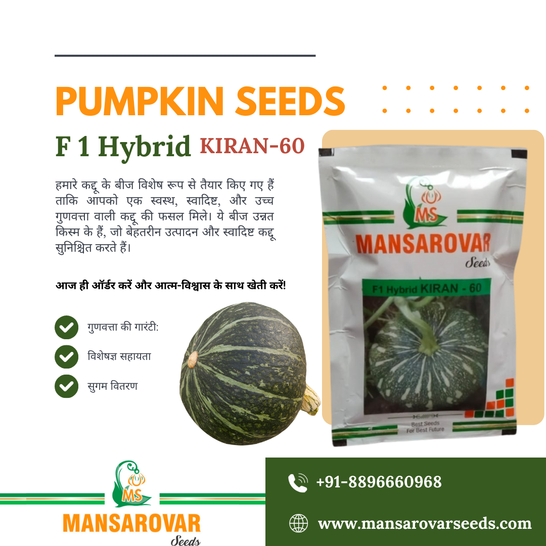 F1 hybrid pumpkin seeds
