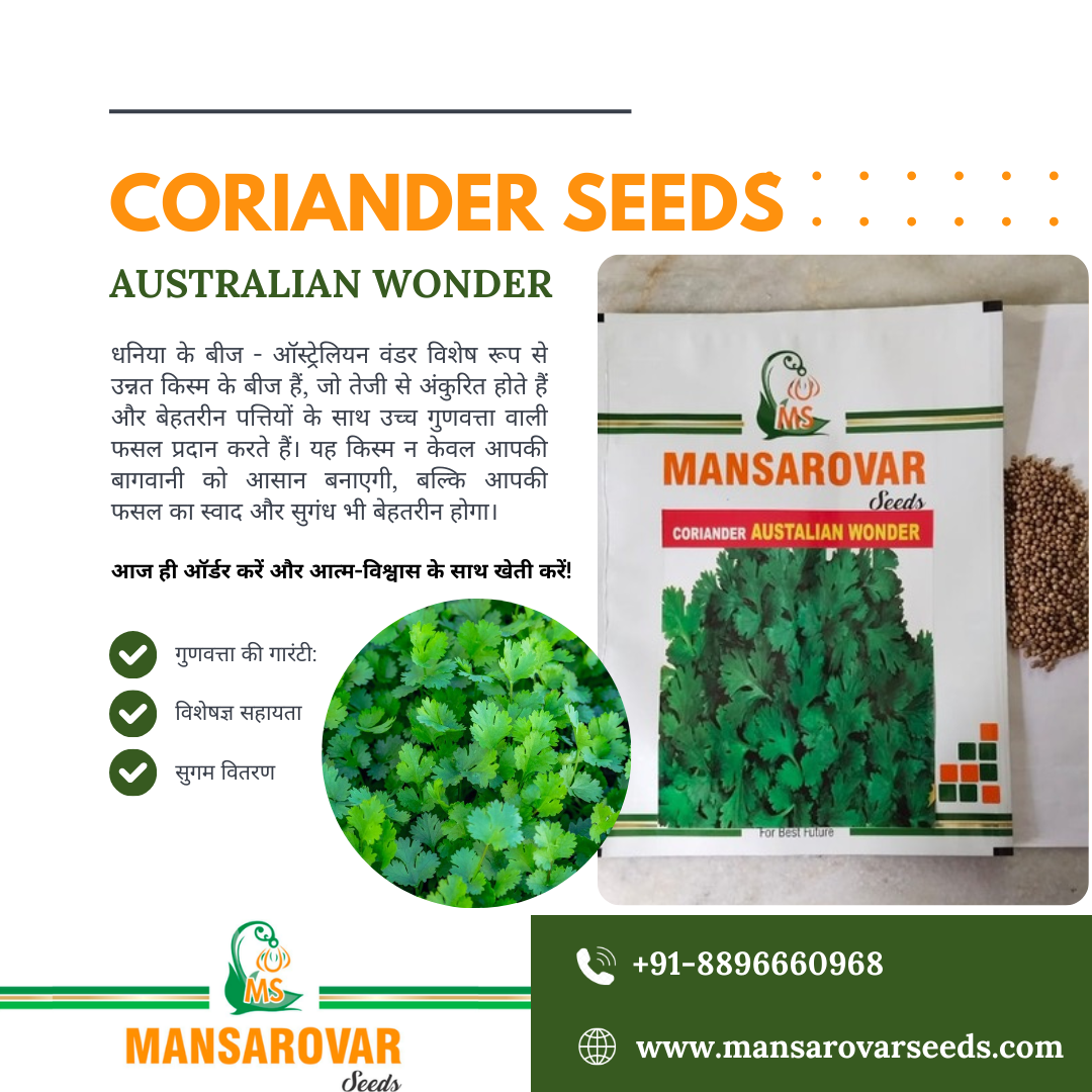 Coriander seeds Australian wonder