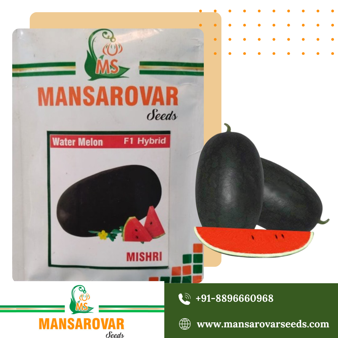 F1 Hybrid Watermelon Seed