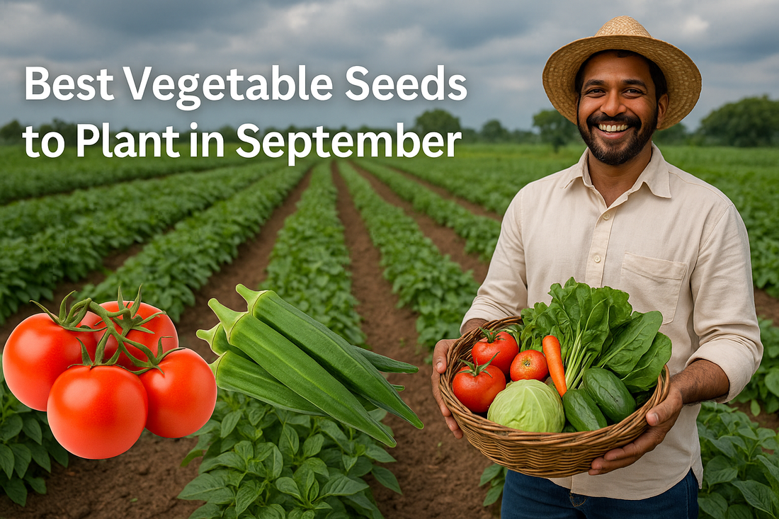 Best vegetable seeds to plant in September – Indian farmer with tomatoes, okra, gourds, spinach, and fresh crops in a lush farm field