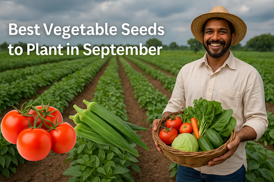 Best vegetable seeds to plant in September – Indian farmer with tomatoes, okra, gourds, spinach, and fresh crops in a lush farm field