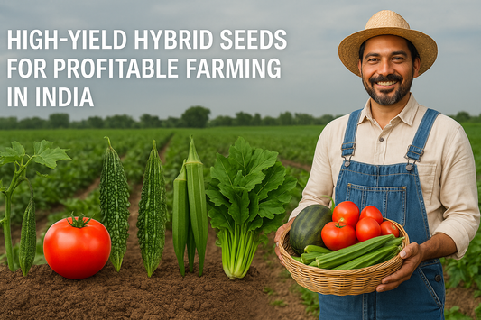 High-yield hybrid seeds in India – Indian farmer holding Tomato, Bitter Gourd, Watermelon, and Okra harvest for profitable vegetable farming