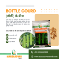 F1 hybrid bottle gourd seeds