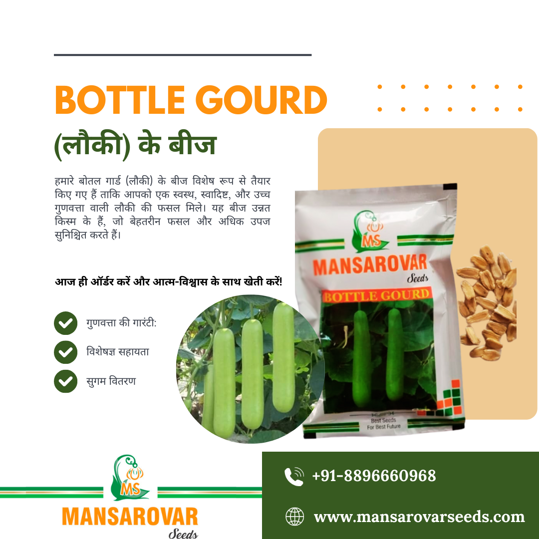 F1 hybrid bottle gourd seeds