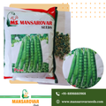 Green pea seeds 10 Dane wali