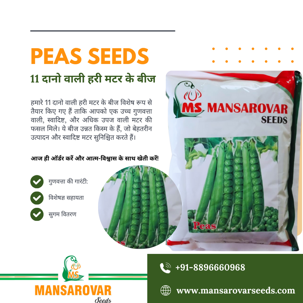 Green pea seeds 10 Dane wali