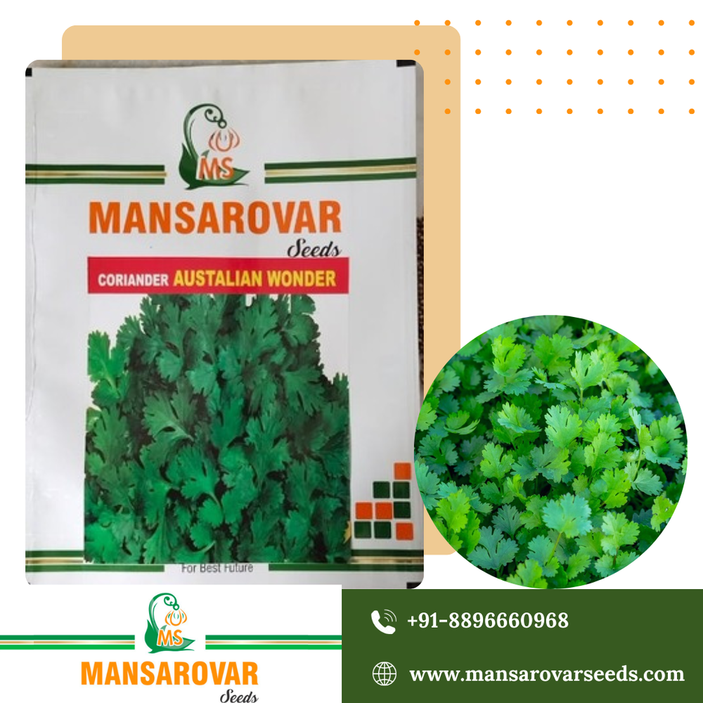 Coriander seeds Australian wonder
