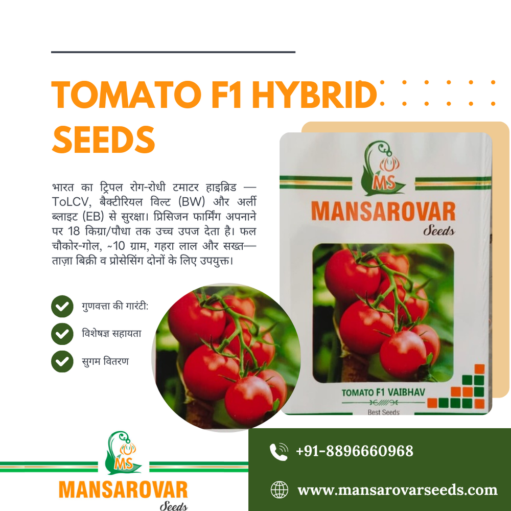 Tomato F1 hybrid seeds pack 10 Gram