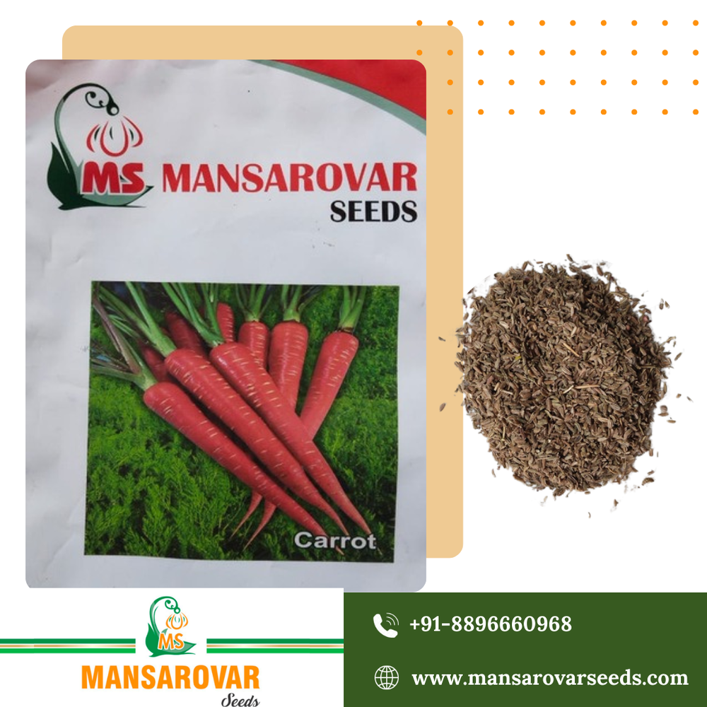Red carrot seeds