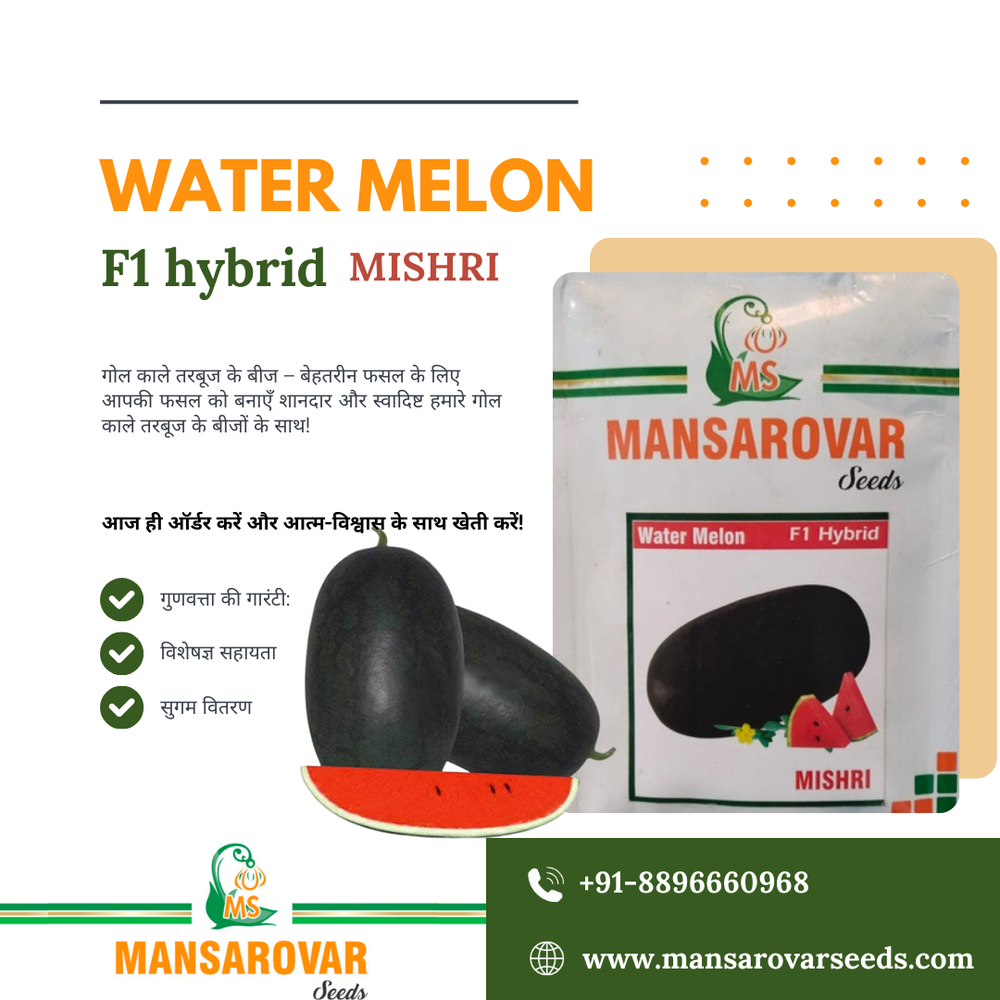 F1 Hybrid Watermelon Seed