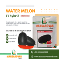 F1 Hybrid Watermelon Seed