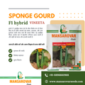 f1 hybrid sponge gourd seeds
