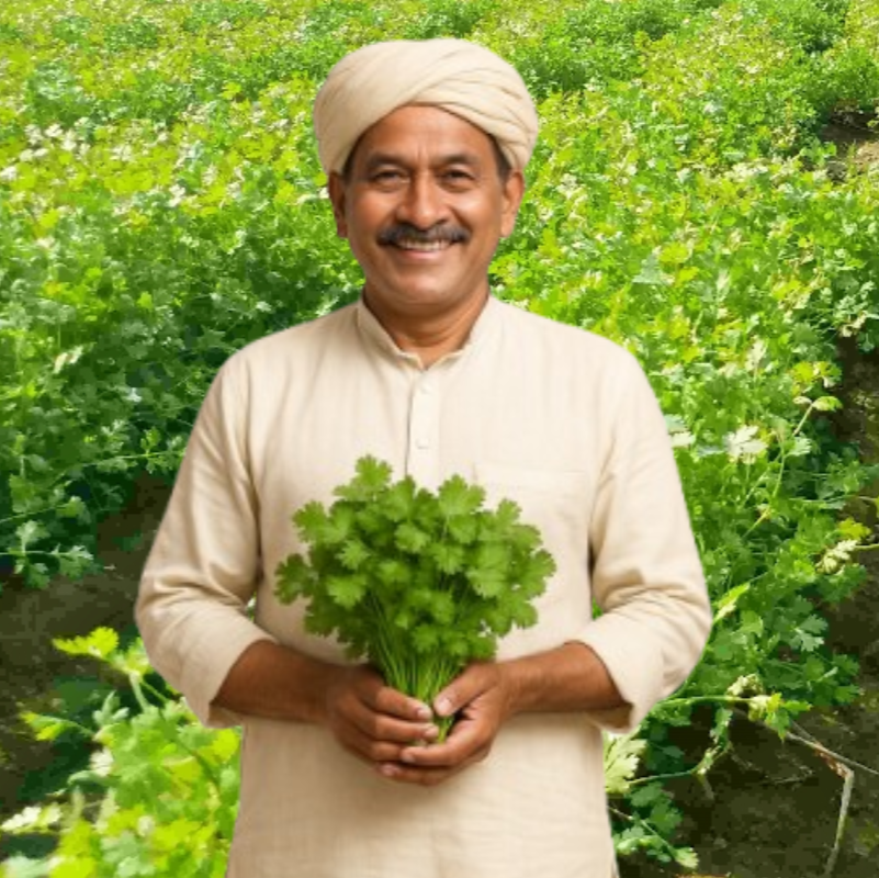 Mansarovar Seeds coriander seeds banner mobile