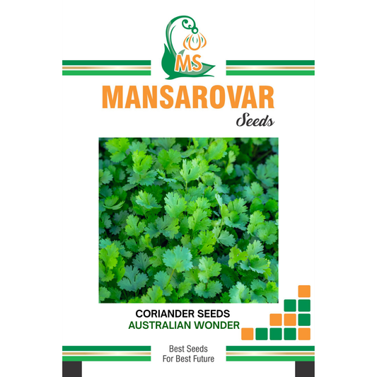 Mansarovar Seeds Coriander Seeds Australian Wonder variety for farming