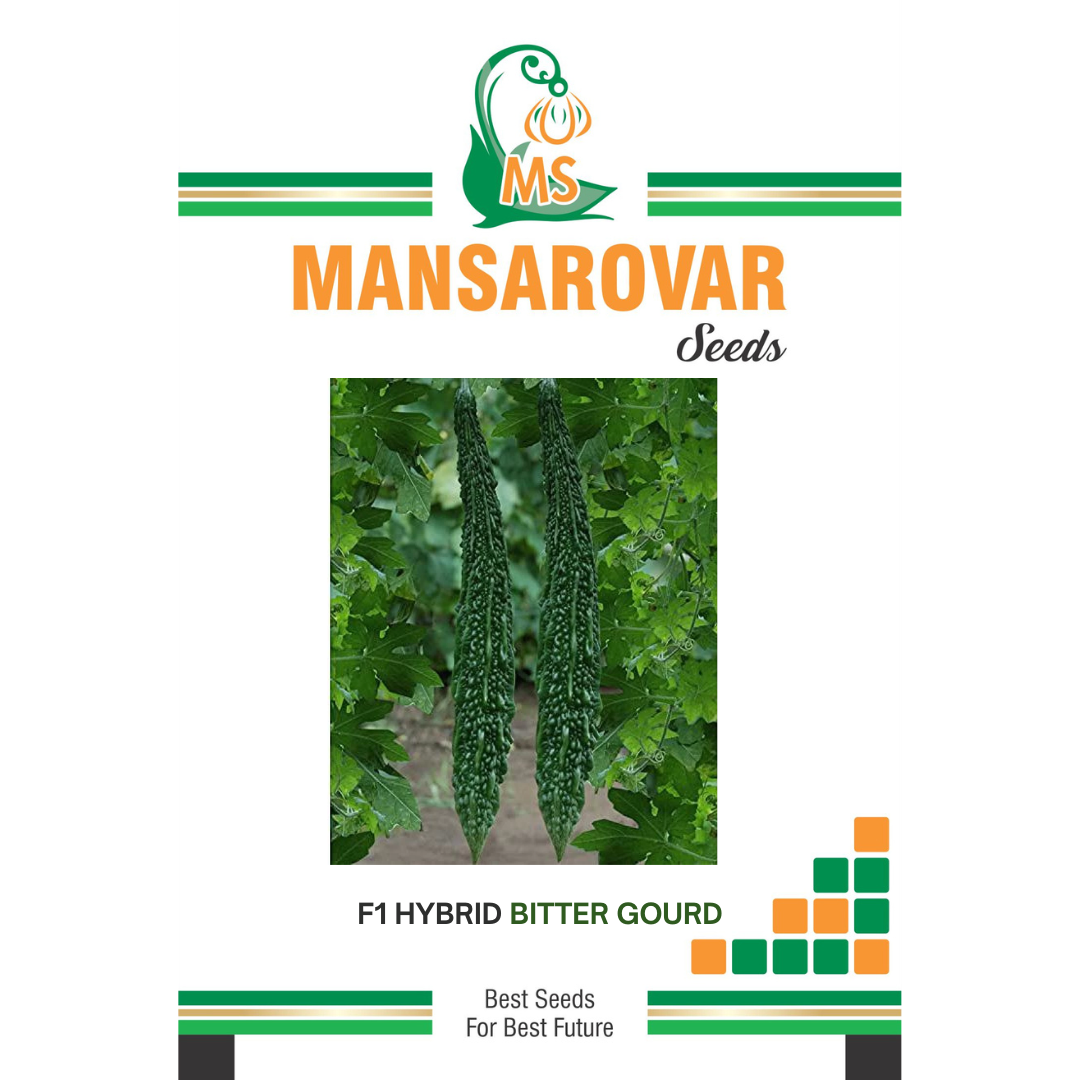 Mansarovar Seeds F1 hybrid bitter gourd seeds for high yield farming