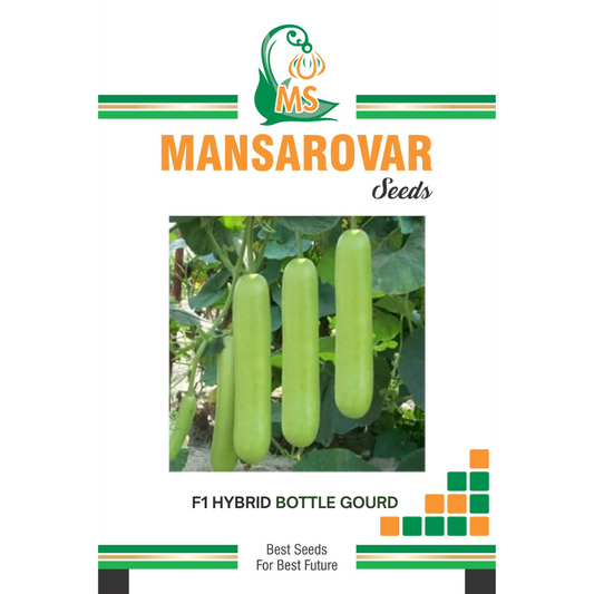 Mansarovar Seeds F1 hybrid bottle gourd seeds for high yield farming