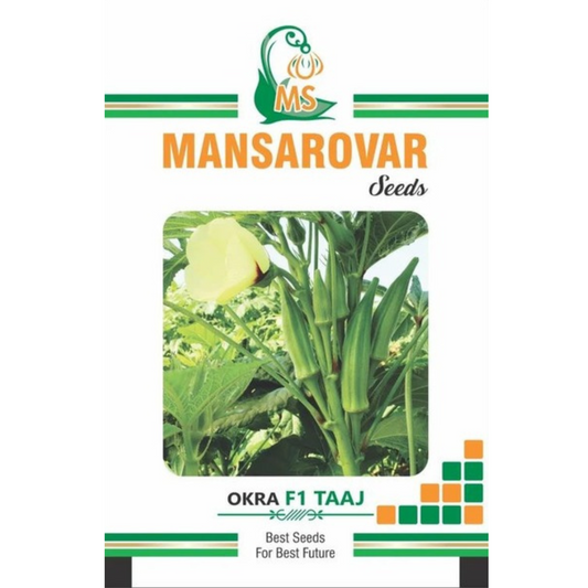 Mansarovar Seeds F1 hybrid okra seeds for high yield farming