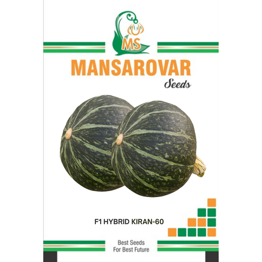 Mansarovar Seeds F1 hybrid pumpkin seeds for high yield farming
