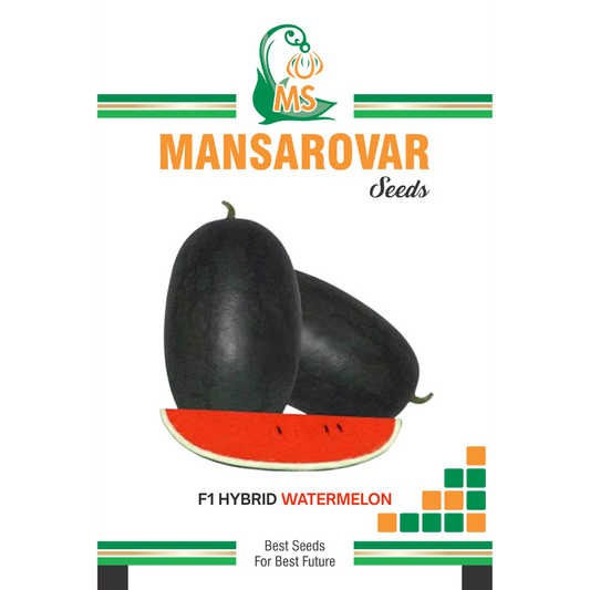 Mansarovar Seeds F1 hybrid watermelon seed for high yield farming
