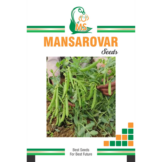 Mansarovar Seeds Green Pea Seeds 10 Dane Wali variety for farming