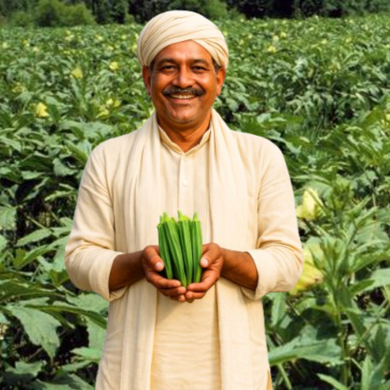 Farmer showcasing fresh Okra F1 hybrid from Mansarovar Seeds mob