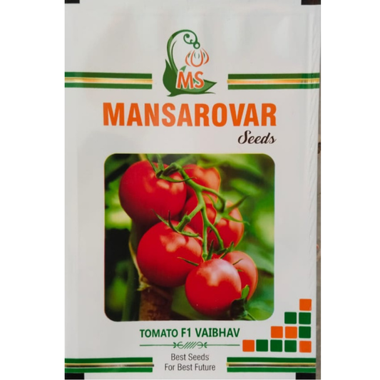 Mansarovar Seeds Tomato F1 Hybrid seeds pack 10 gram for high yield farming